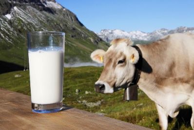 Fossano, "L'ingiustizia infinita delle quote latte". M5S incontra allevatori e cittadini Fossano, "L'ingiustizia infinita delle quote latte". M5S incontra allevatori e cittadini