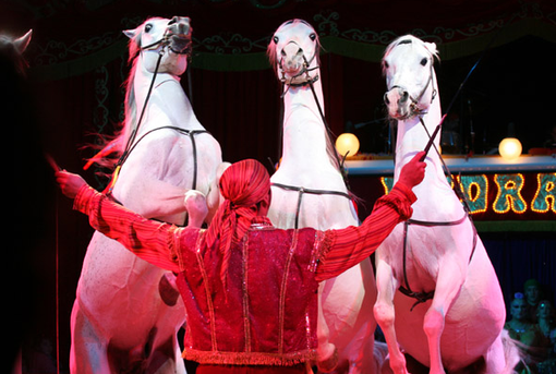 Immagine tratta dal sito www.medrano.it