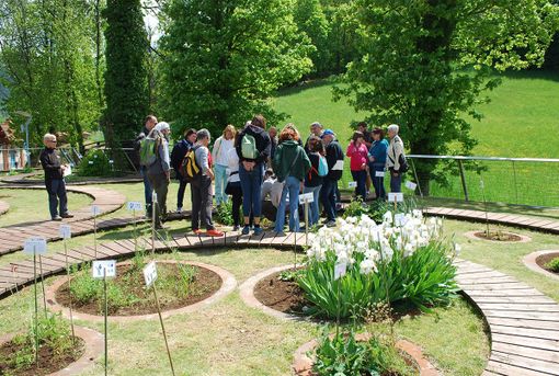 “Il Fascino delle piante”: dal 17 al 19 maggio il Parco naturale Marguareis ne celebra la giornata internazionale