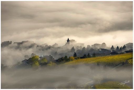 Foto Tino Gerbaldo Foto Tino Gerbaldo