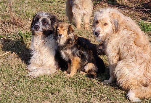 Immagine di repertorio Immagine di repertorio