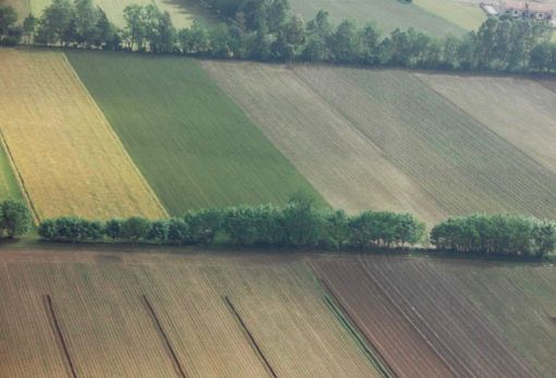 Cia Cuneo: “Le modifiche alla Pac alleggeriscono gli iter burocratici e gli impegni ambientali” Cia Cuneo: “Le modifiche alla Pac alleggeriscono gli iter burocratici e gli impegni ambientali”