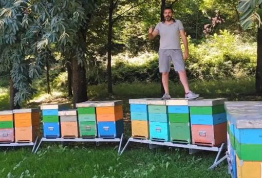 Mattia Mana con il suo apiario