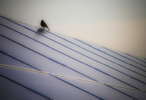 Attività a tutela di un investimento fotovoltaico