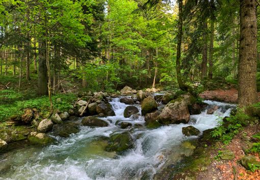 Sabato 19 luglio riapre la Riserva di pesca Alta Valle Pesio Sabato 19 luglio riapre la Riserva di pesca Alta Valle Pesio