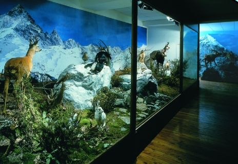 Musei del Parco del Po Cuneese aperti il 25 aprile e l’1 maggio Musei del Parco del Po Cuneese aperti il 25 aprile e l’1 maggio