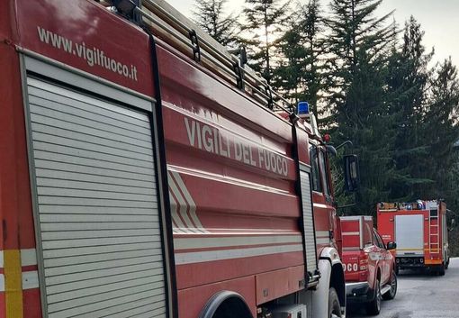 Raffiche di vento, piegati due alberi sulla provinciale tra Valdieri e Sant'Anna