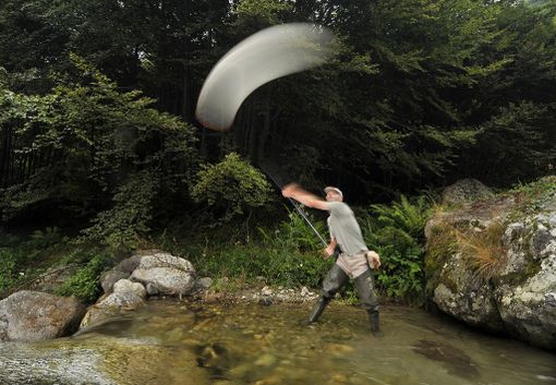 Taxon: a Vernante la mostra sulla biodiversità dei Parchi Alpi Marittime Mercantour