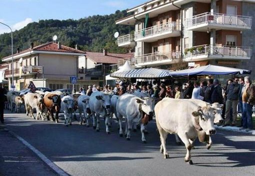 Rifreddo, grande attesa per la Sagra d'Autunno e la Giornata Contadina: aperte le iscrizioni per il mercatino Rifreddo, grande attesa per la Sagra d'Autunno e la Giornata Contadina: aperte le iscrizioni per il mercatino