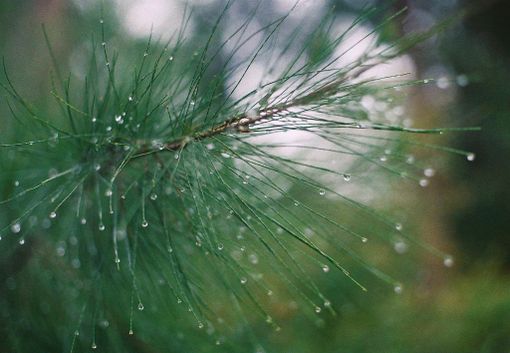 Un weekend all'insegna dell'instabilità con nuvole e rovesci, ma da lunedì torna il beltempo