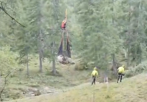 Immagine di repertorio