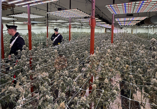 I carabinieri  di Bra sono stati impegnati nell'operazione  “Djali” (Copyright TargatoCn)