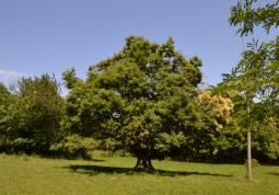 A Busca costituita l’associazione fondiaria Terre di mezzo