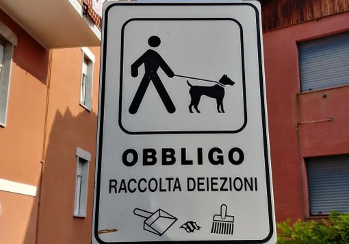 "Cani al guinzaglio e obbligo di raccolta delle deiezioni": l'ordinanza "a quattro zampe" del sindaco di Montaldo di Mondovì "Cani al guinzaglio e obbligo di raccolta delle deiezioni": l'ordinanza "a quattro zampe" del sindaco di Montaldo di Mondovì