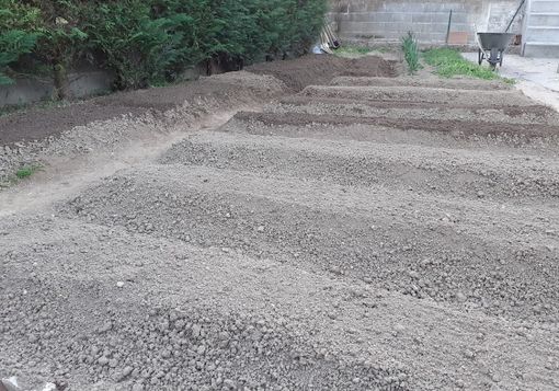 Bra, approvate le nuove norme per l’assegnazione degli orti urbani Bra, approvate le nuove norme per l’assegnazione degli orti urbani