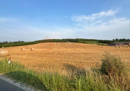 Settimana di tregua dal caldo: minime in calo fino a 10 gradi percepiti