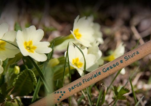 Cuneo, trek misto attraverso la città e il suo Parco fluviale Cuneo, trek misto attraverso la città e il suo Parco fluviale