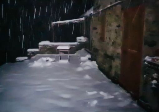 Faule: 17 anni di prodotti ittici, cultura e tradizioni, per la riuscita “Festa del Po 2014”