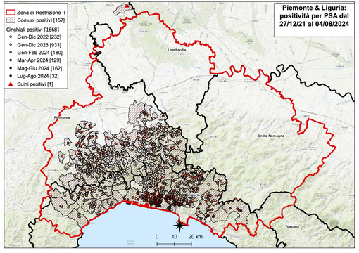 Controlli peste suina: tre nuovi casi in Liguria, nessuno in Piemonte