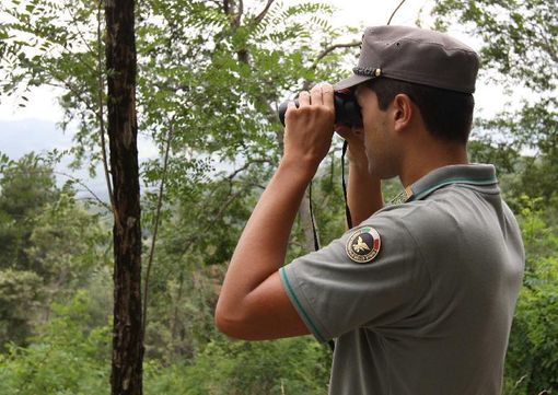 Oggi il Governo vara il “decreto Madia”,  che cancella per sempre il Corpo Forestale dello Stato. Verrà assorbito dai Carabinieri