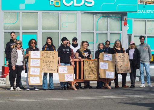 Ad Alba è andata in scena la protesta contro il circo Greca Orfei: "Più fatti per la sostenibilità ambientale" Ad Alba è andata in scena la protesta contro il circo Greca Orfei: "Più fatti per la sostenibilità ambientale"