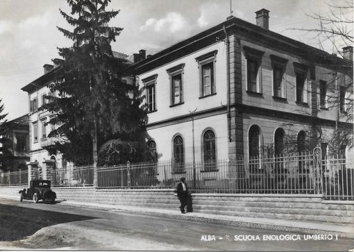 In un'immagine d'epoca i cedri che affiancano l'edificio scolastico