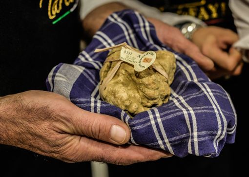 Pochi giorni all'88^ Fiera Internazionale del Tartufo Bianco d’Alba, tutti gli appuntamenti da non perdersi nel primo weekend