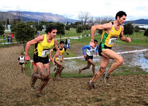 Immagine di repertorio Immagine di repertorio