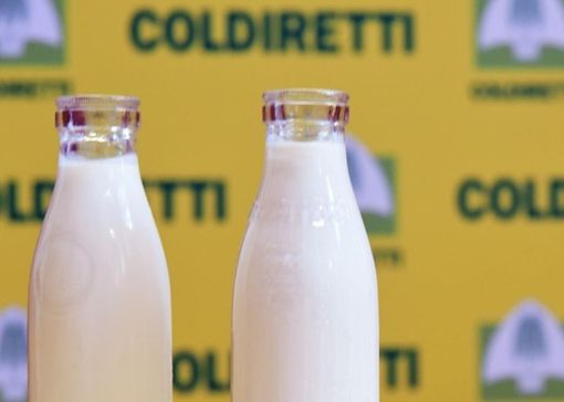 Latte, Coldiretti Cuneo: "Necessario valorizzare la produzione locale"