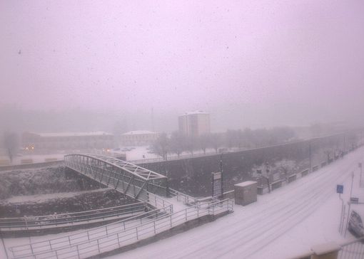 “Funghi e Ceva, una storia” svelata nel nuovo Appuntamento Azzoaglio