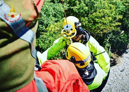 Immagine di repertorio Immagine di repertorio