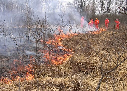 Ceva, convegno formativo sulla tecnica del fuoco prescritto Ceva, convegno formativo sulla tecnica del fuoco prescritto