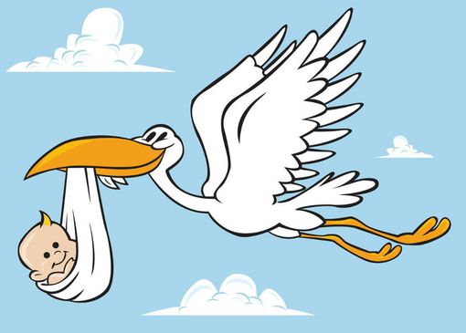 Immagine di repertorio