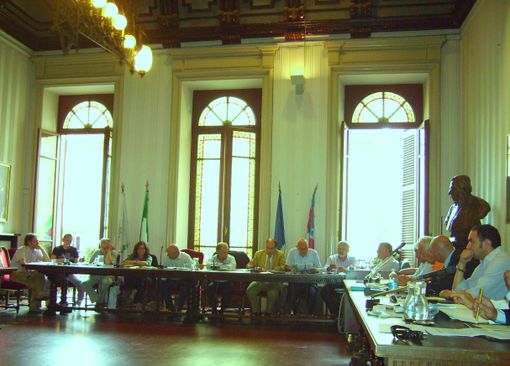 Consiglio comunale del 29 giugno 2010