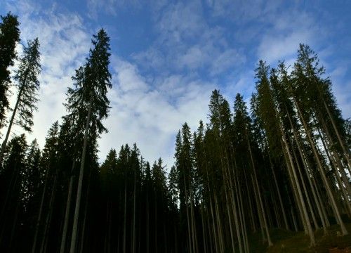Extramuseo: a San Pietro di Monterosso Grana e Pontebernardo due nuovi percorsi adatti alle famiglie Extramuseo: a San Pietro di Monterosso Grana e Pontebernardo due nuovi percorsi adatti alle famiglie