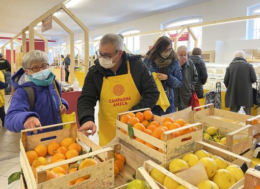 Immagine di repertorio Immagine di repertorio