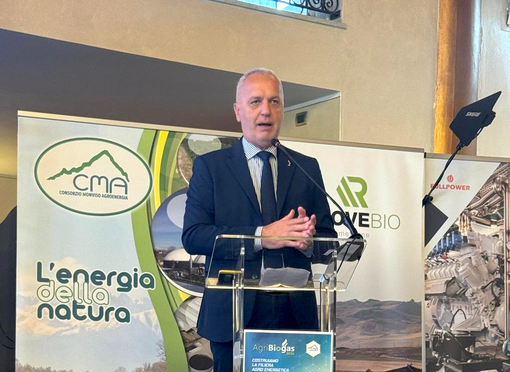 Il senatore Giorgio Maria Bergesio Il senatore Giorgio Maria Bergesio