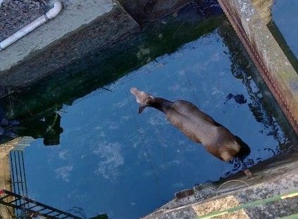 Immagine di repertorio