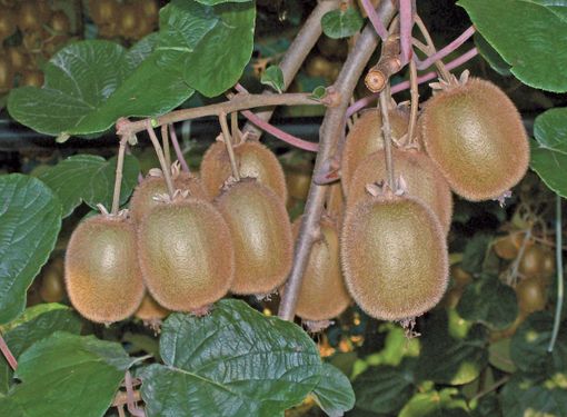 Foto generica Foto generica