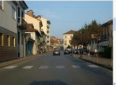 Marene: il Comune investe 12mila euro per i nuovi alberi