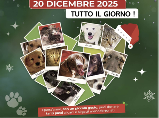 Cuneo, una raccolta alimentare Natalizia per animali bisognosi