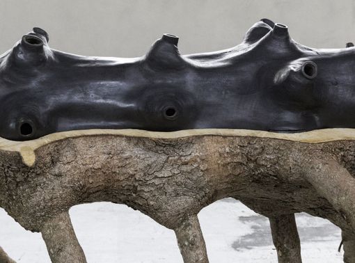 Fondazione CRC e Castello di Rivoli presentano le opere di Giuseppe Penone a Cuneo