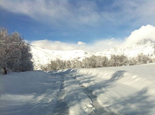 Così appariva ieri la Provinciale per Pian Minè. Così, invece, non avrebbe dovuto apparire