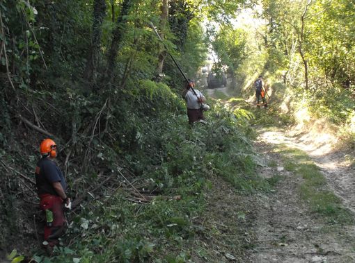 Rocca Cigliè: terminati i lavori di pulizia di alcune strade forestali