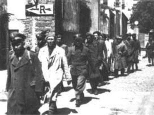 Immagine generica Immagine generica