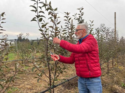 Maurizio Ribotta durante un intervento in campo