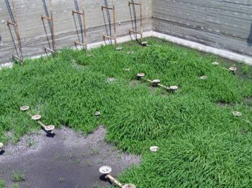 Pulizia, lavaggio e svuotamento impianti di biogas, depuratori e vasche di stoccaggio