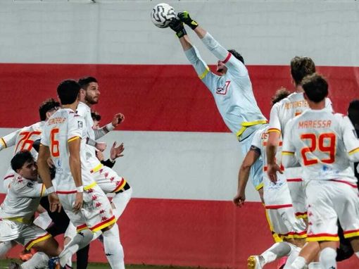 (ph longoni, vis pesaro)