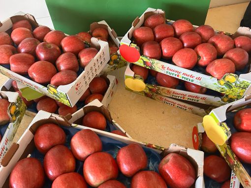 Dalla crisi climatica al caro materiali: il comparto frutticolo si prepara alle prossime sfide