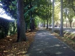 Foto generica Foto generica